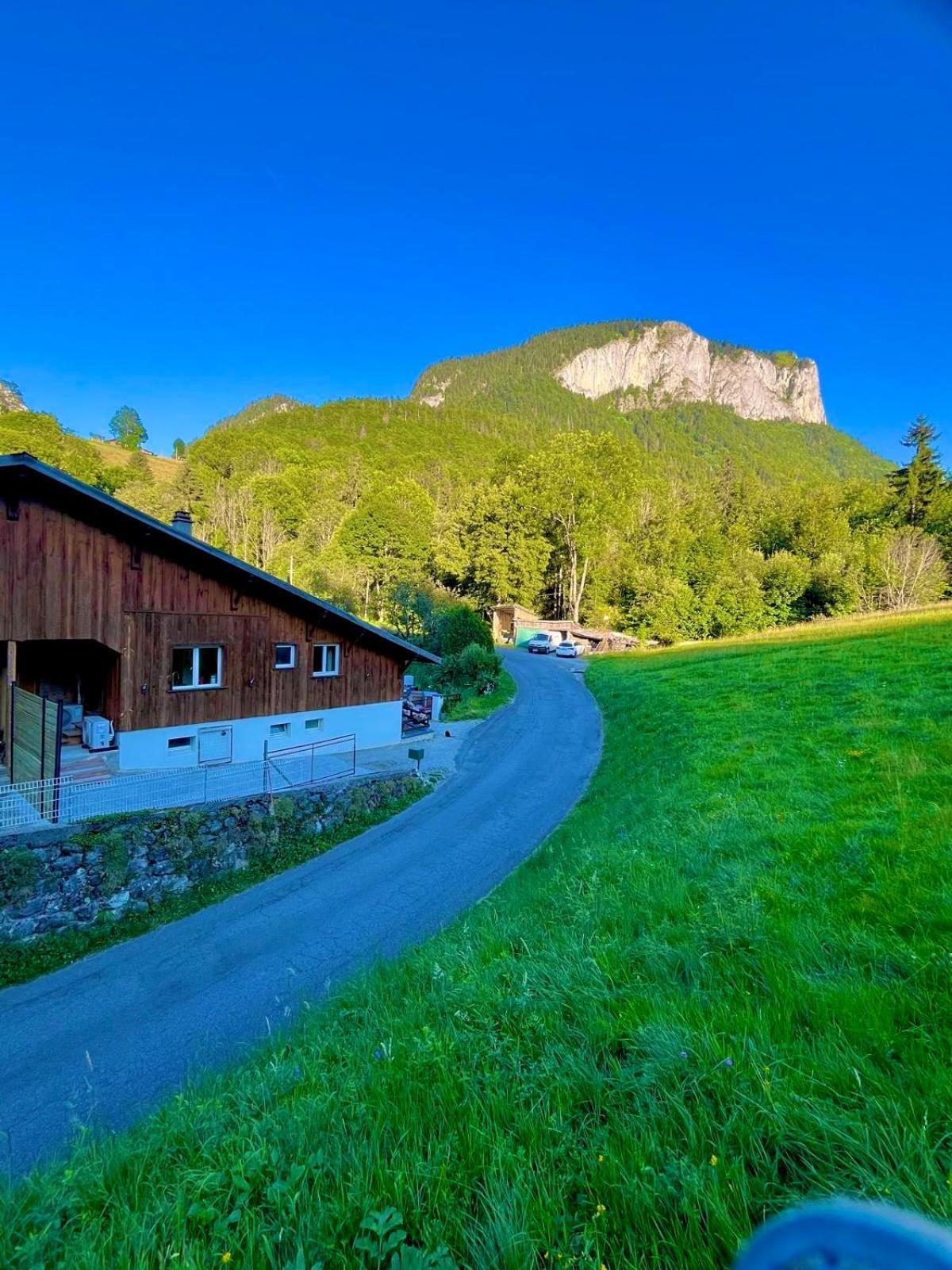 Appartement Dans Maison Familiale Bellevaux Luaran gambar